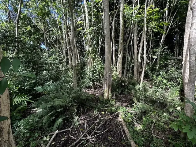Listing Image for 6870 Hana Hwy B 11 of 13
