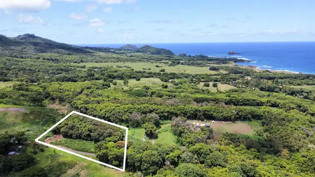 6870 Hana Hwy B, Hana, 399601 - 2/13