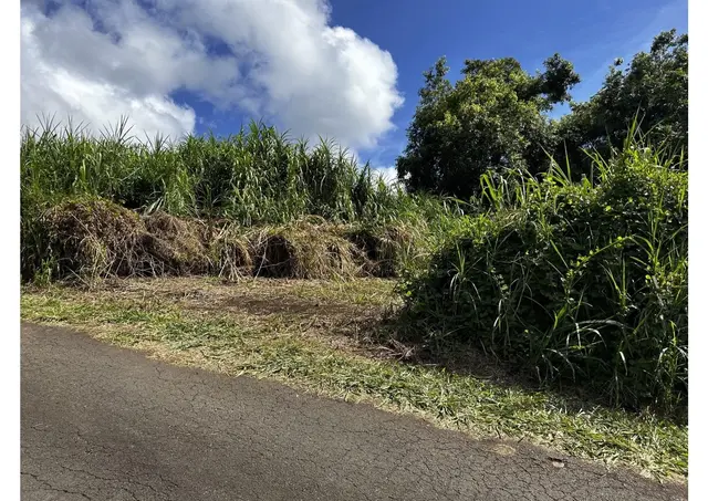 6870 Hana Hwy B, Hana, 399601 - 4/13