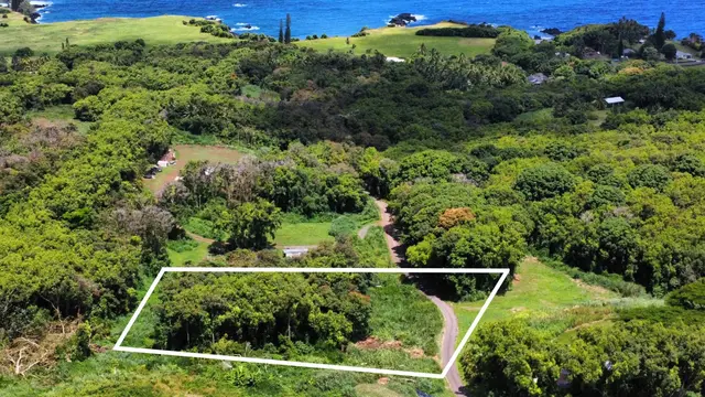 Listing Image for 6870 Hana Hwy B 6 of 13
