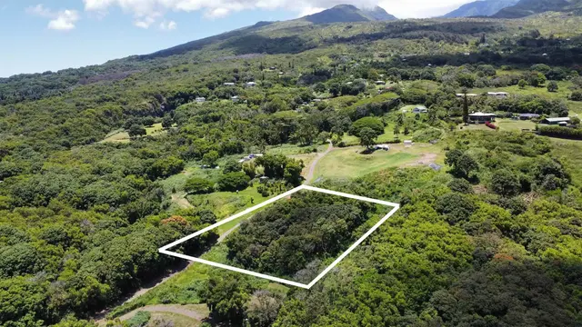 Listing Image for 6870 Hana Hwy B 7 of 13