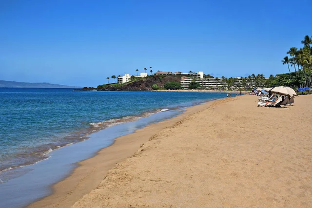 Listing Image for 50 Nohea Kai Dr 4104 3 of 48