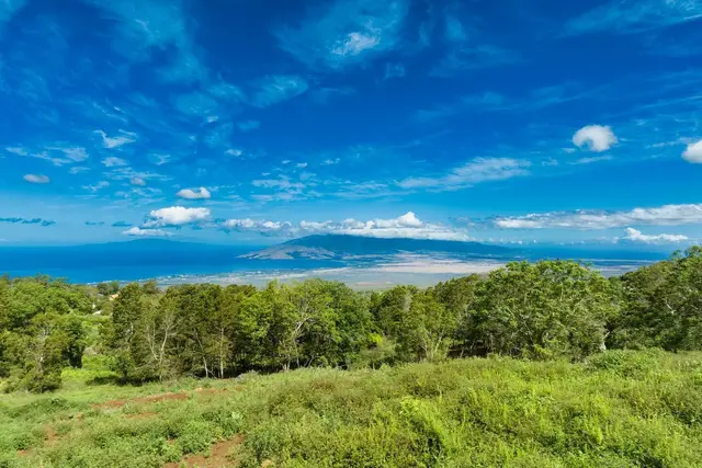 Listing Image for 9300 Kula Hwy 13 of 20