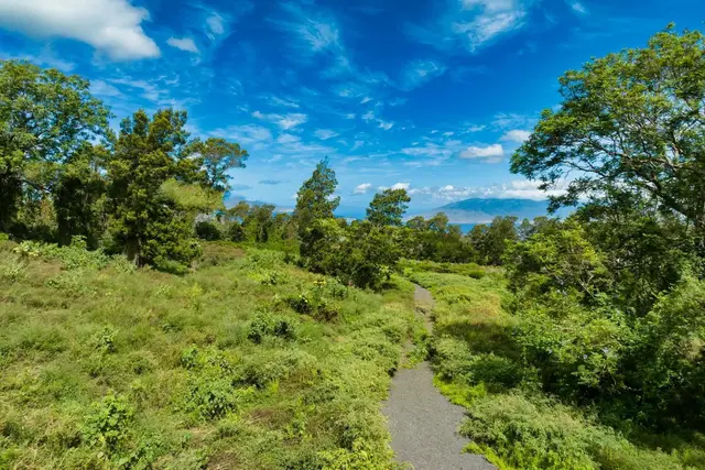 Listing Image for 9300 Kula Hwy 14 of 20