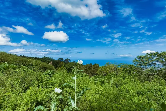 Listing Image for 9300 Kula Hwy 15 of 20