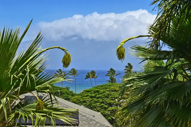 Listing Image for 3 Bermuda Pl 50 of 50