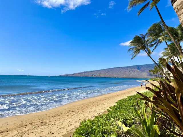 Listing Image for 61 N Kihei Rd 18 20 of 22
