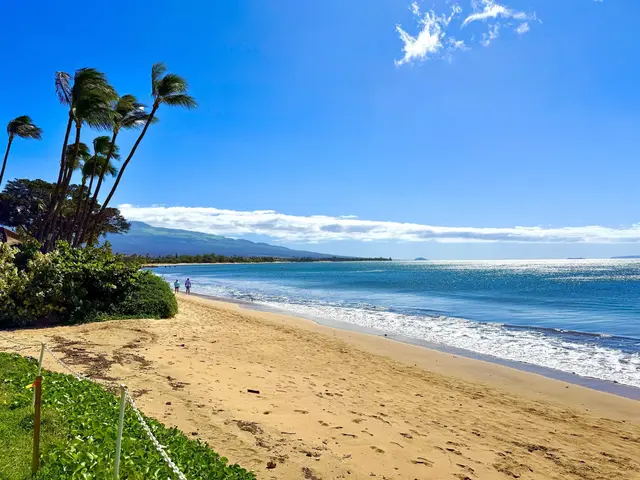 Listing Image for 61 N Kihei Rd 18 21 of 22