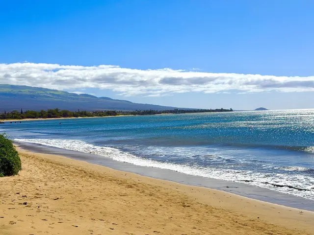 Listing Image for 61 N Kihei Rd 18 22 of 22