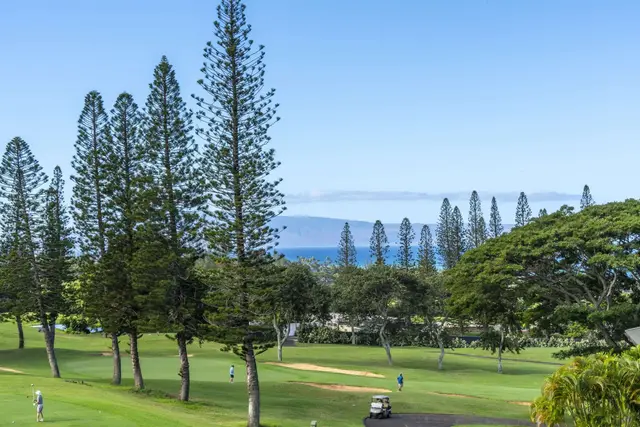 Listing Image for 500 Kapalua Dr 25t6-7 34 of 40