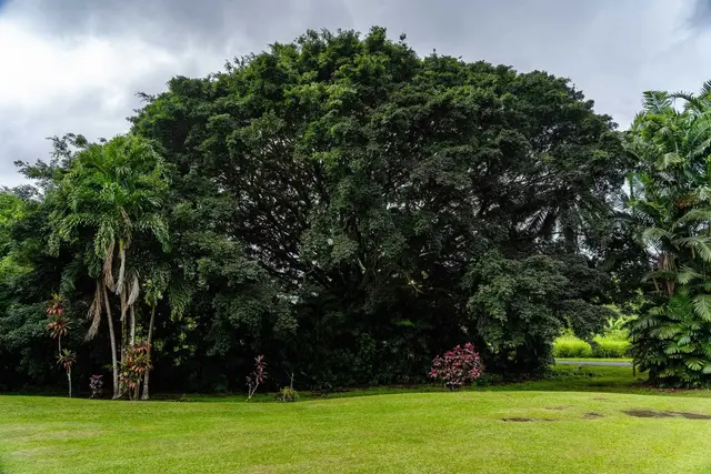 Listing Image for 340 Alalele Pl 36 of 46