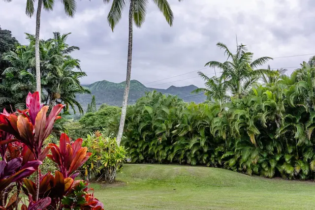 Listing Image for 340 Alalele Pl 37 of 46