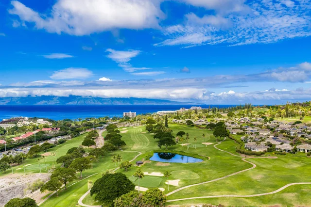 Listing Image for 27 Kaulele Pl 48 of 50