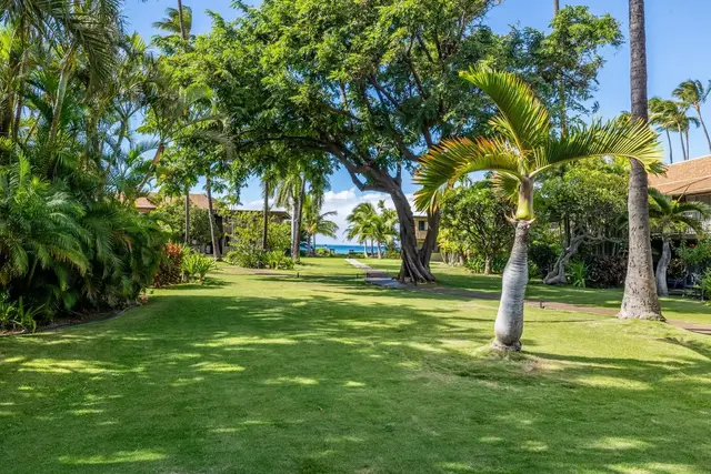 Listing Image for 3559 Lower Honoapiilani Rd 5g 35 of 42