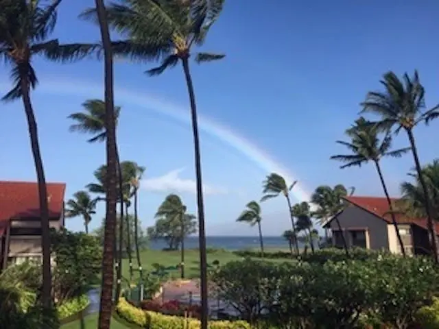 Photo of Listing #408341