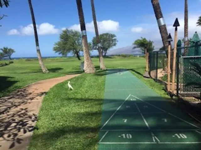 Listing Image for 940 S Kihei Rd 307c 27 of 40