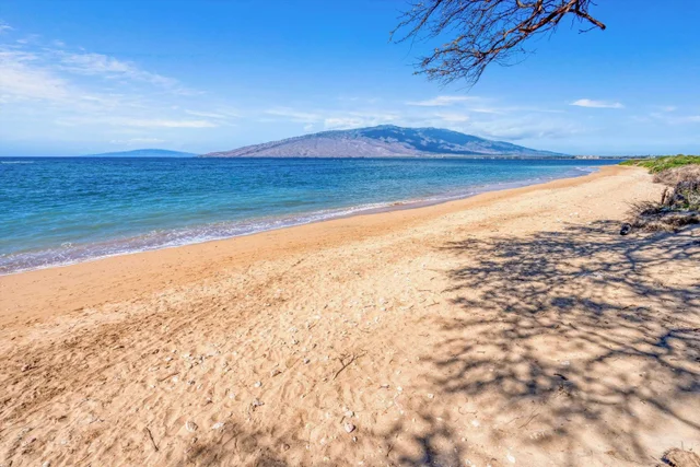 Listing Image for 940 S Kihei Rd 307c 35 of 40