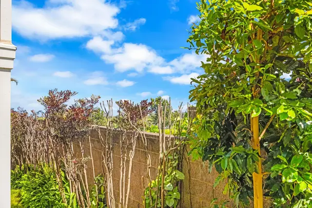 Listing Image for 71 Makawao Ave 3 14 of 28