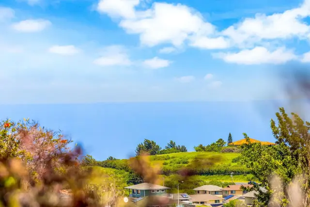 Listing Image for 71 Makawao Ave 3 15 of 28