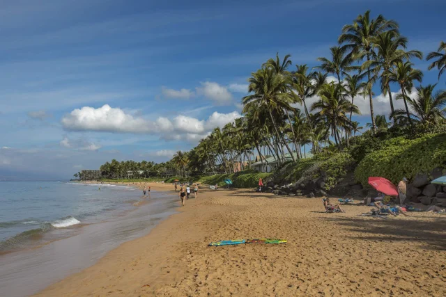 Listing Image for 3300 Wailea Alanui Dr 25b 28 of 50