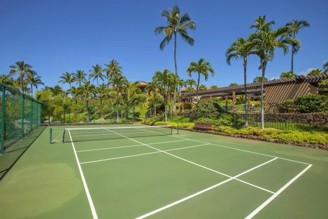 Listing Image for 3300 Wailea Alanui Dr 25b 48 of 50