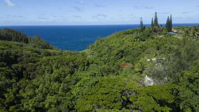 Listing Image for 675 Kulike Rd 27 of 41
