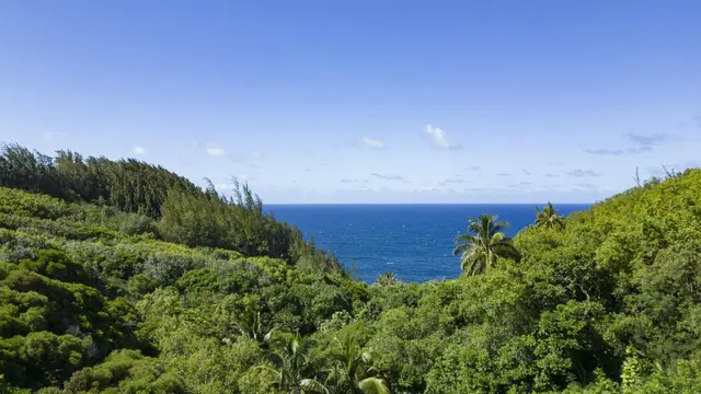 Listing Image for 675 Kulike Rd 6 of 41