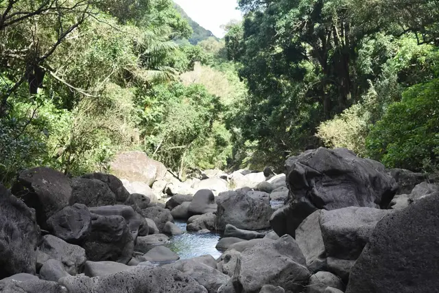 Listing Image for 0 Halawa Pl 3 of 5