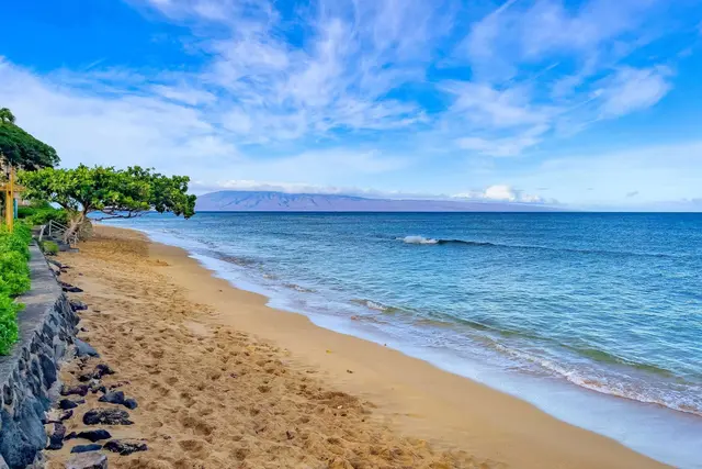 Listing Image for 3445 Lower Honoapiilani Rd 339 19 of 39