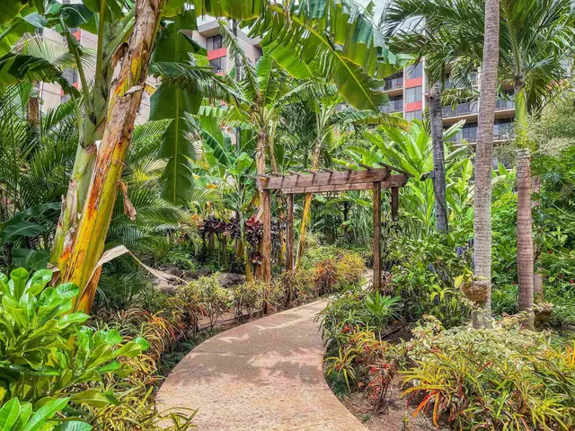 Listing Image for 3445 Lower Honoapiilani Rd 339 34 of 39