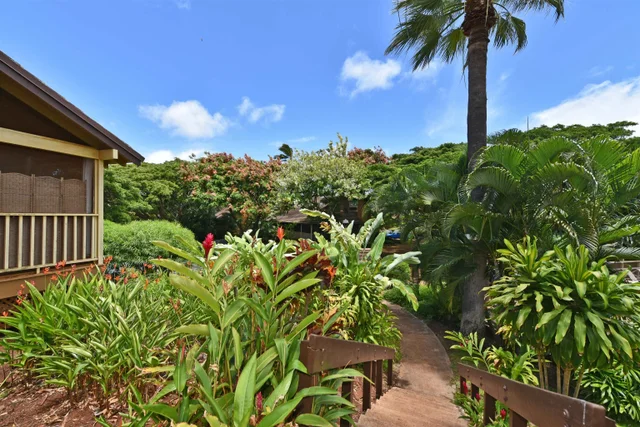 Listing Image for 100 Lio Pl P4 25 of 39