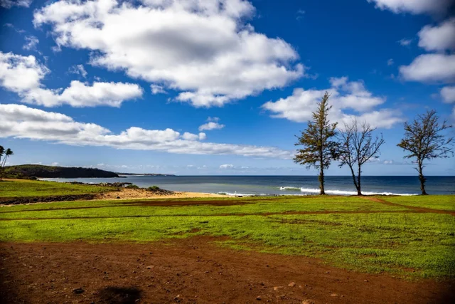 Listing Image for 100 Lio Pl P4 32 of 39