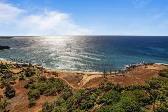 Listing Image for 100 Lio Pl P4 34 of 39