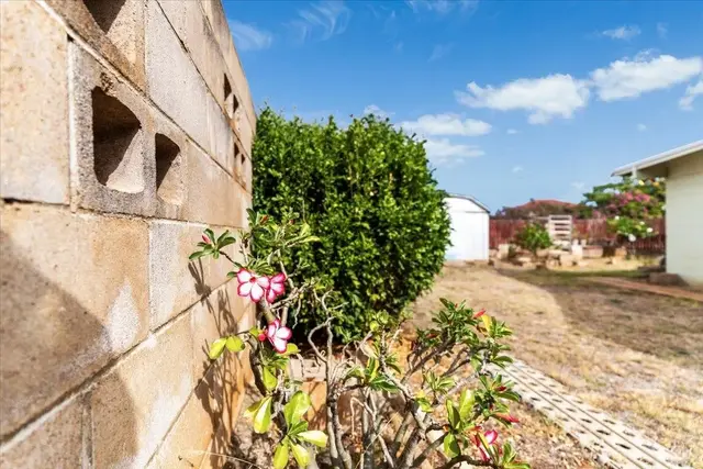Listing Image for 1890 Makahala Pl 8 of 50