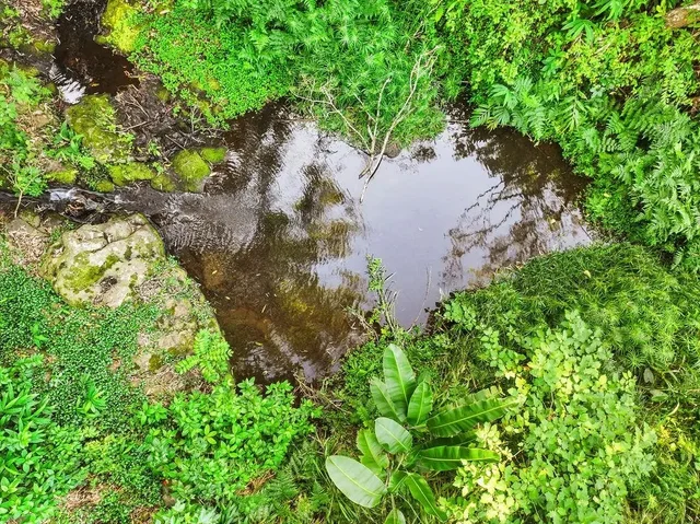 Listing Image for 1444 W Kuiaha Rd 27 of 30