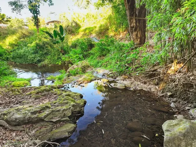 Listing Image for 1444 W Kuiaha Rd 28 of 30