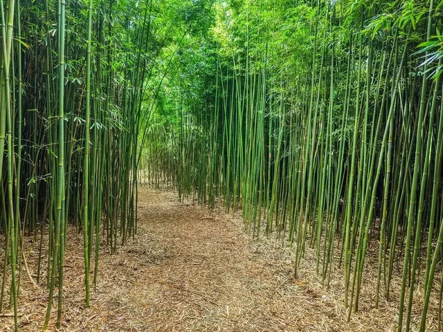 Listing Image for 1444 W Kuiaha Rd 29 of 30