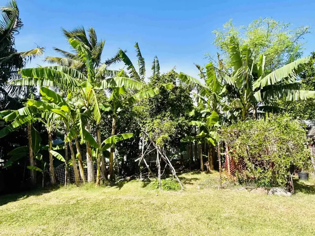 Listing Image for 931 Ehoeho St 3 of 5