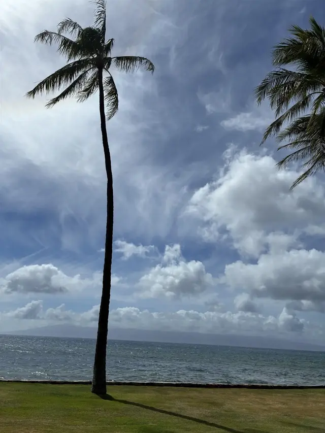 Listing Image for 3543 Lower Honoapiilani Rd L102 2 of 36