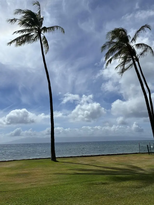 Listing Image for 3543 Lower Honoapiilani Rd L102 25 of 36