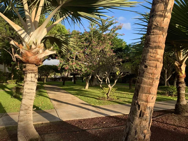 Listing Image for 1450 S Kihei Rd D-101 20 of 21