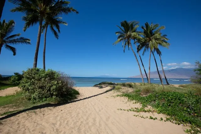 Listing Image for 1450 S Kihei Rd D-101 6 of 21