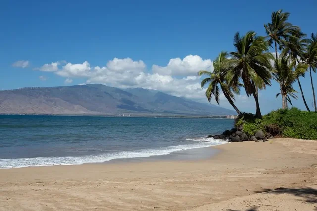 Listing Image for 1450 S Kihei Rd D-101 7 of 21