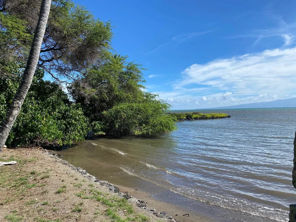 7320 Kamehameha V Hwy, Molokai