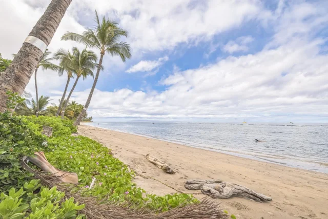 Listing Image for 475 Front St 235 28 of 33