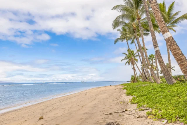 Listing Image for 475 Front St 235 33 of 33