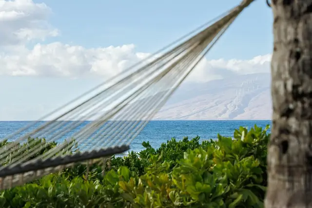 Listing Image for 3200 S Kihei Rd 22 of 36