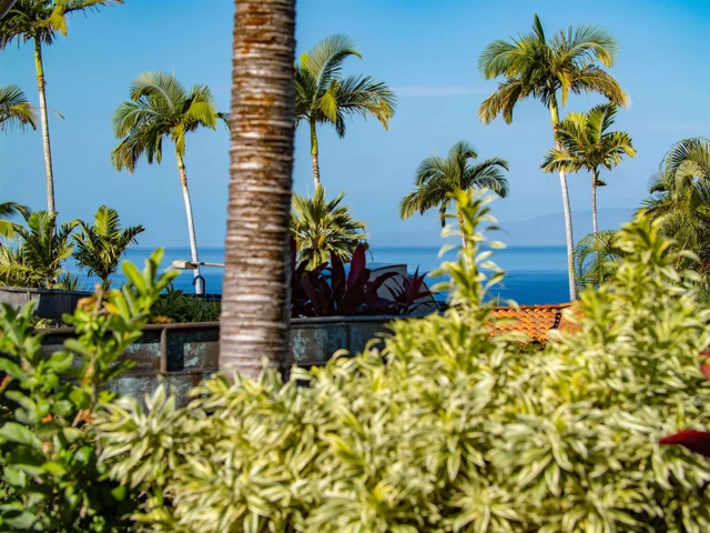 Listing Image for 3133 Kikihi St Lot 414 30 of 49