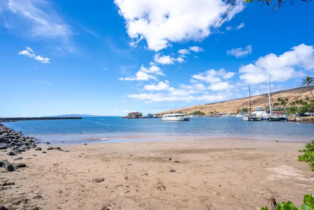 Listing Image for 50 Hauoli St 306 39 of 42