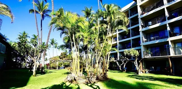 Listing Image for 2531 S Kihei Rd D409 26 of 33